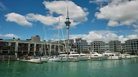 Your invite - McAfee in Auckland for Channel Event