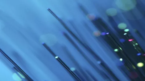 TelstraClear's role in the govt.'s network