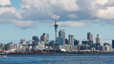 Does Auckland need a digital and technology advisor?