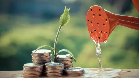 Exclusive: Avnet ups Kiwi focus with new staff, new services, new vendors