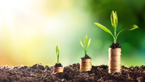 New crowdfunding platform to help Kiwi SMEs catch the eyes of Chinese investors