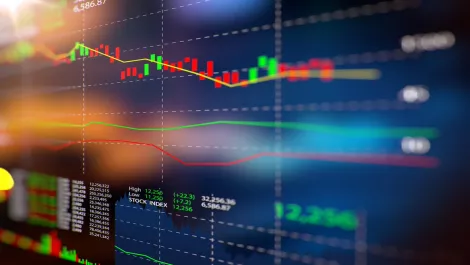 Tech's momentum driving New Zealand economy forward