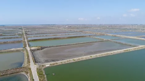 Google makes its first ever renewable energy investment in Asia
