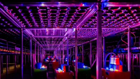 iseek secures Queensland Government data centre contract